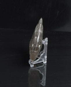 Carved Crystal Tropical Fish